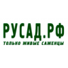 Осторожно обман!! РУСАД.РФ