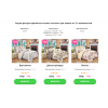 Осторожно!! 2dquality.ru "Корпорация сновидений"