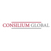 Осторожно!! consilium-global.com | Consilium Global